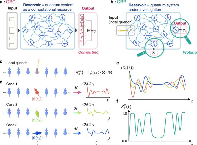 Quantum reservoir probing of quantum phase transitions