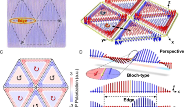 Edge polarization topology integrated with sliding ferroelectricity in Moiré system