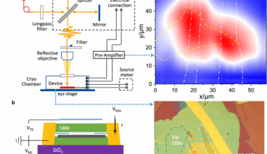 Evidence for excitonic condensation and superfluidity in black phosphorus