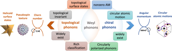 Weyl phonons: the connection of topology and chirality