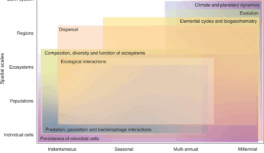 Microbial dormancy as an ecological and biogeochemical regulator on Earth
