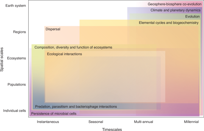 Microbial dormancy as an ecological and biogeochemical regulator on Earth