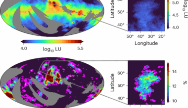 A nearby dark molecular cloud in the Local Bubble revealed via H2 fluorescence
