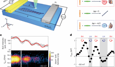 Control of spin currents by magnon interference in a canted antiferromagnet