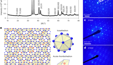 Observation of antiferromagnetic order in a quasicrystal