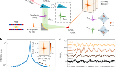 Observation of polarization density waves in SrTiO3