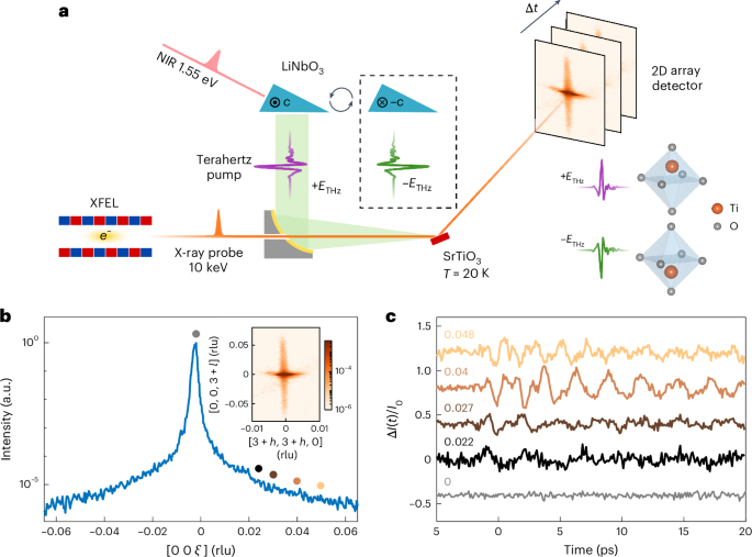 Observation of polarization density waves in SrTiO3