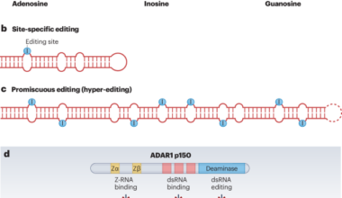 Leveraging genetics to understand ADAR1-mediated RNA editing in health and disease