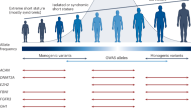 The genetic basis of human height