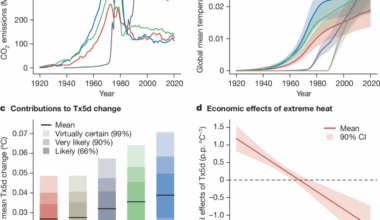Carbon majors and the scientific case for climate liability