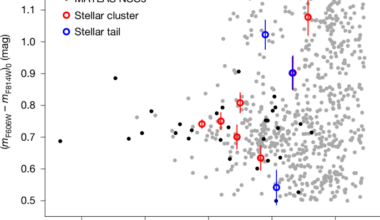 Evidence of star cluster migration and merger in dwarf galaxies