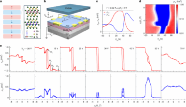 Antiferromagnetic quantum anomalous Hall effect under spin flips and flops