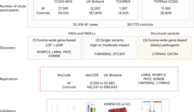 Sequencing in over 50,000 cases identifies coding and structural variation underlying atrial fibrillation risk