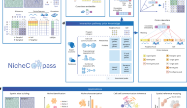 Quantitative characterization of cell niches in spatially resolved omics data
