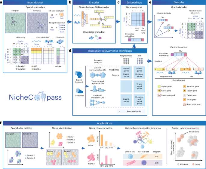 Quantitative characterization of cell niches in spatially resolved omics data