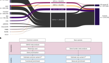 Common-variant and rare-variant genetic architecture of heart failure across the allele-frequency spectrum