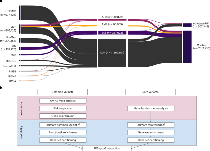 Common-variant and rare-variant genetic architecture of heart failure across the allele-frequency spectrum