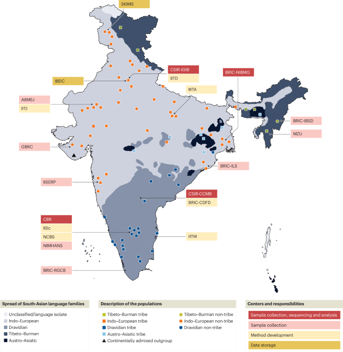 Mapping genetic diversity with the GenomeIndia project - Nature