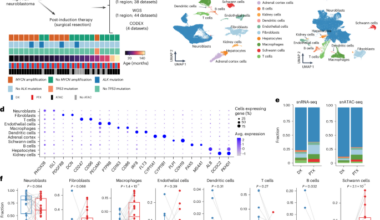 Longitudinal single-cell multiomic atlas of high-risk neuroblastoma reveals chemotherapy-induced tumor microenvironment rewiring