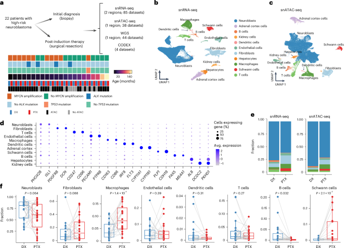 Longitudinal single-cell multiomic atlas of high-risk neuroblastoma reveals chemotherapy-induced tumor microenvironment rewiring