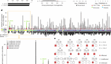 Mutations in the small nuclear RNA gene RNU2-2 cause a severe neurodevelopmental disorder with prominent epilepsy