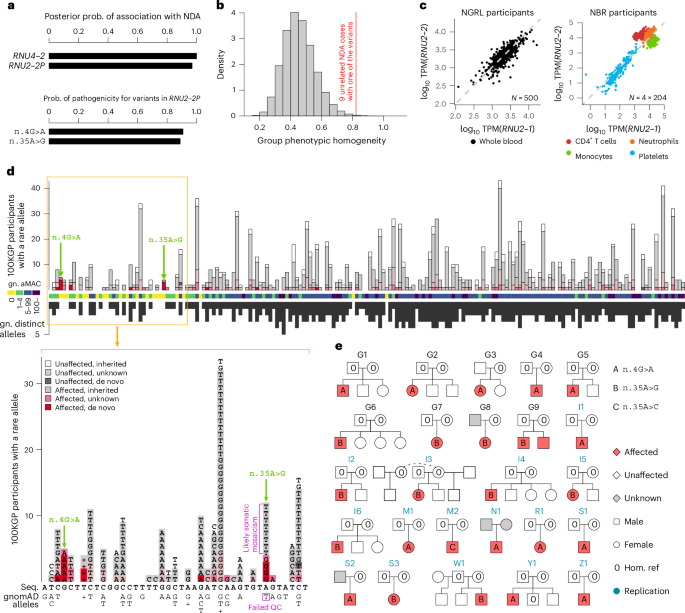 Mutations in the small nuclear RNA gene RNU2-2 cause a severe neurodevelopmental disorder with prominent epilepsy