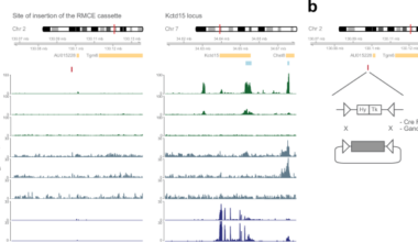 Author Correction: Identification of genetic elements that autonomously determine DNA methylation states