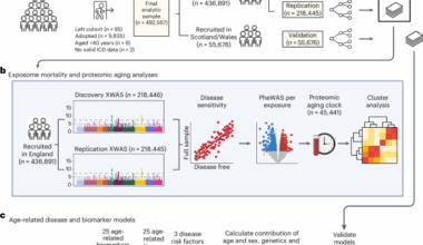 Integrating the environmental and genetic architectures of aging and mortality