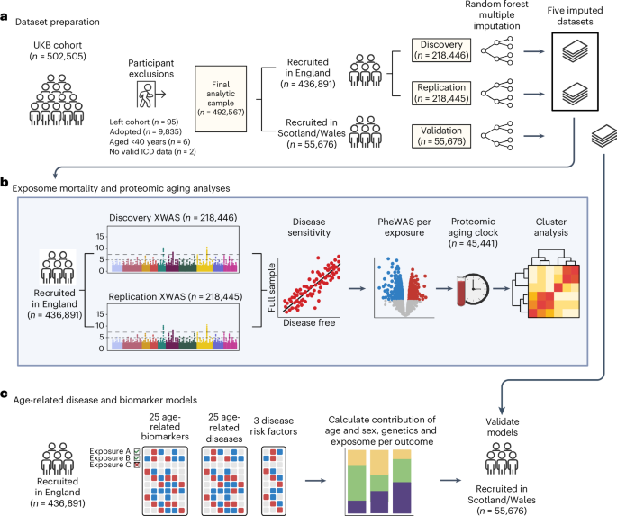 Integrating the environmental and genetic architectures of aging and mortality
