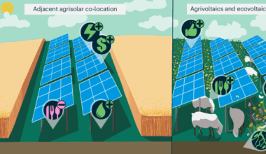 Impacts of agrisolar co-location on the food–energy–water nexus and economic security