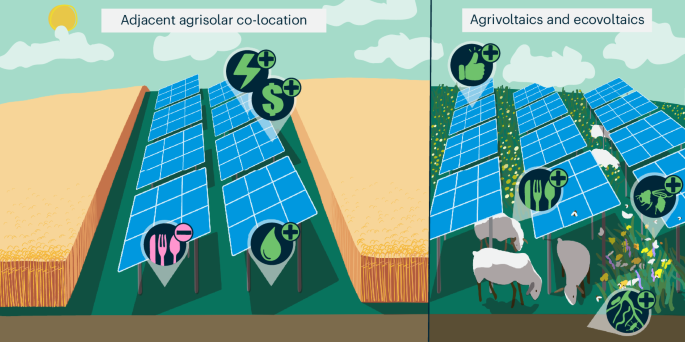 Impacts of agrisolar co-location on the food–energy–water nexus and economic security