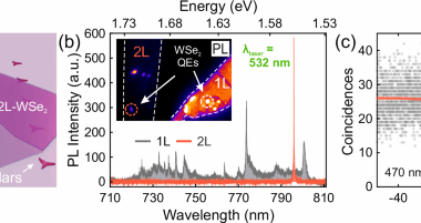 High-purity and stable single-photon emission in bilayer WSe2 via phonon-assisted excitation
