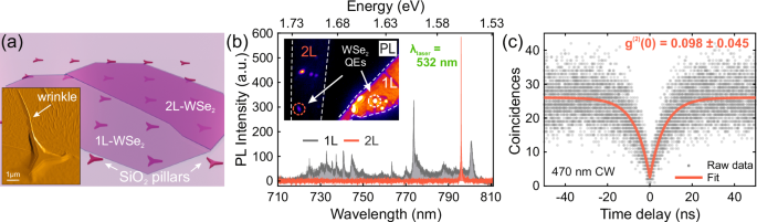 High-purity and stable single-photon emission in bilayer WSe2 via phonon-assisted excitation