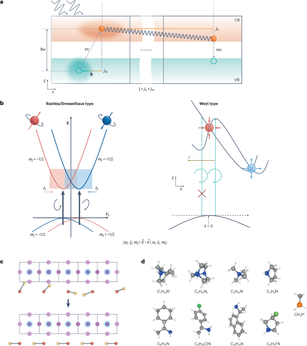 Photogalvanic effects in non-centrosymmetric halide perovskites