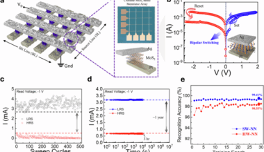 Advanced AI computing enabled by 2D material-based neuromorphic devices