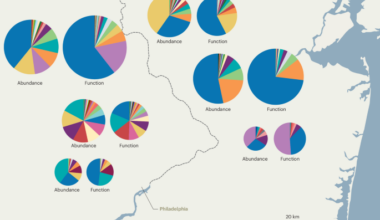 Biodiversity–ecosystem function research must consider abundance and not just diversity