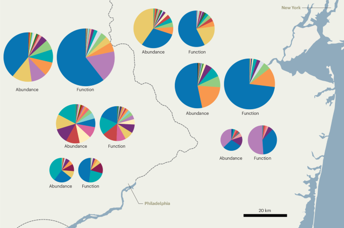 Biodiversity–ecosystem function research must consider abundance and not just diversity
