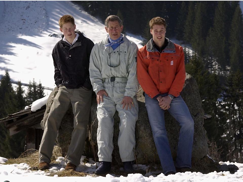 royal family portrait prince harry prince william prince charles