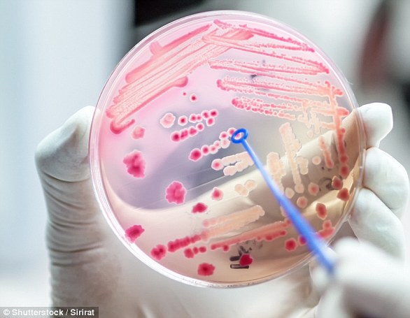 Sepsis is a leading cause of avoidable death killing about 10,000 Australians each year