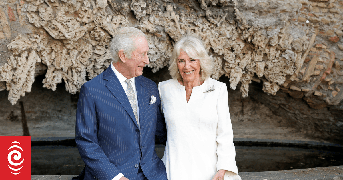 After a fairytale wedding to Diana, Charles was willing to be 'humiliated' to marry Camilla