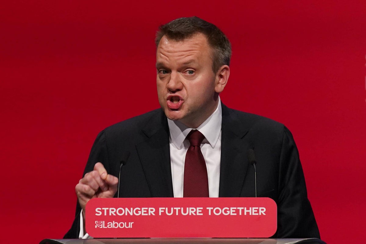Post-Brexit youth visa scheme with EU ‘not in government plans’, minister says