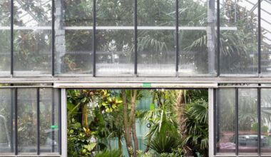 What not to miss at this year's Venice Architecture Biennale - The Art Newspaper