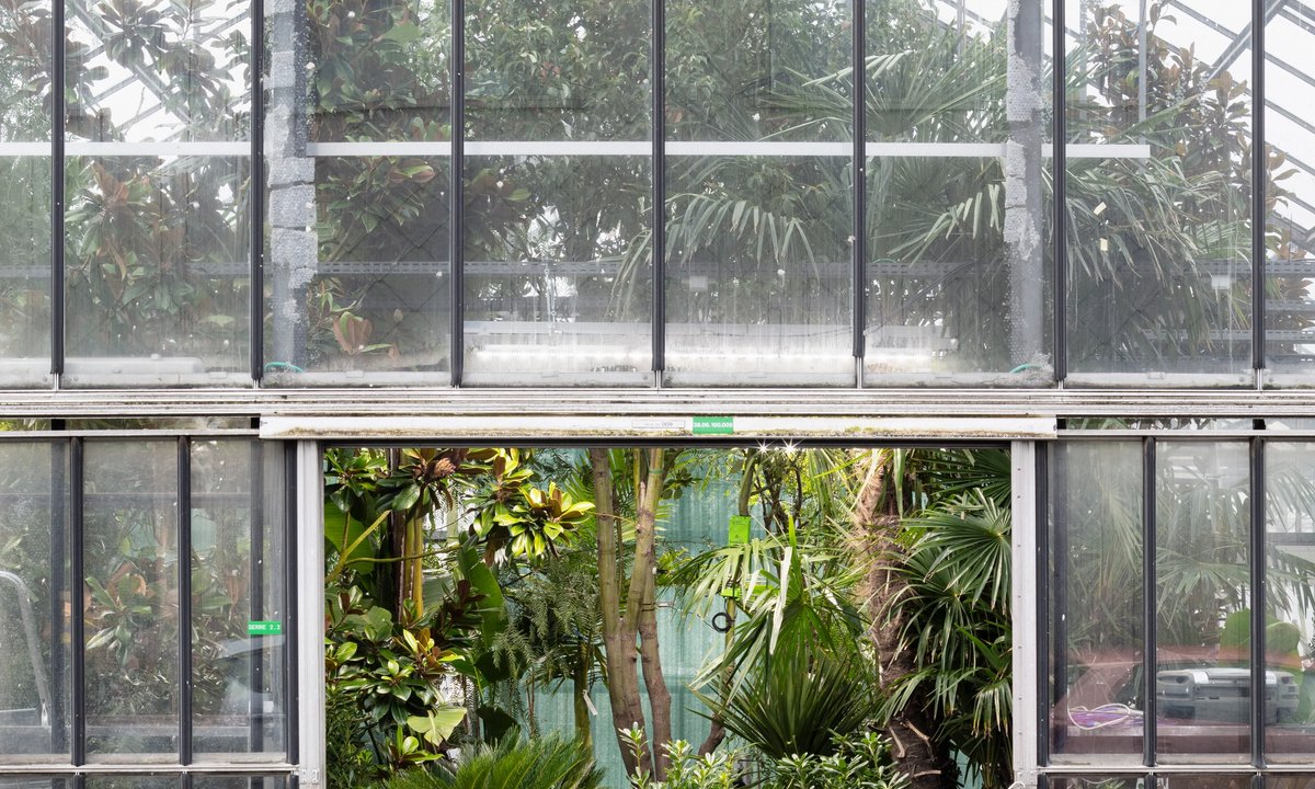 What not to miss at this year's Venice Architecture Biennale - The Art Newspaper