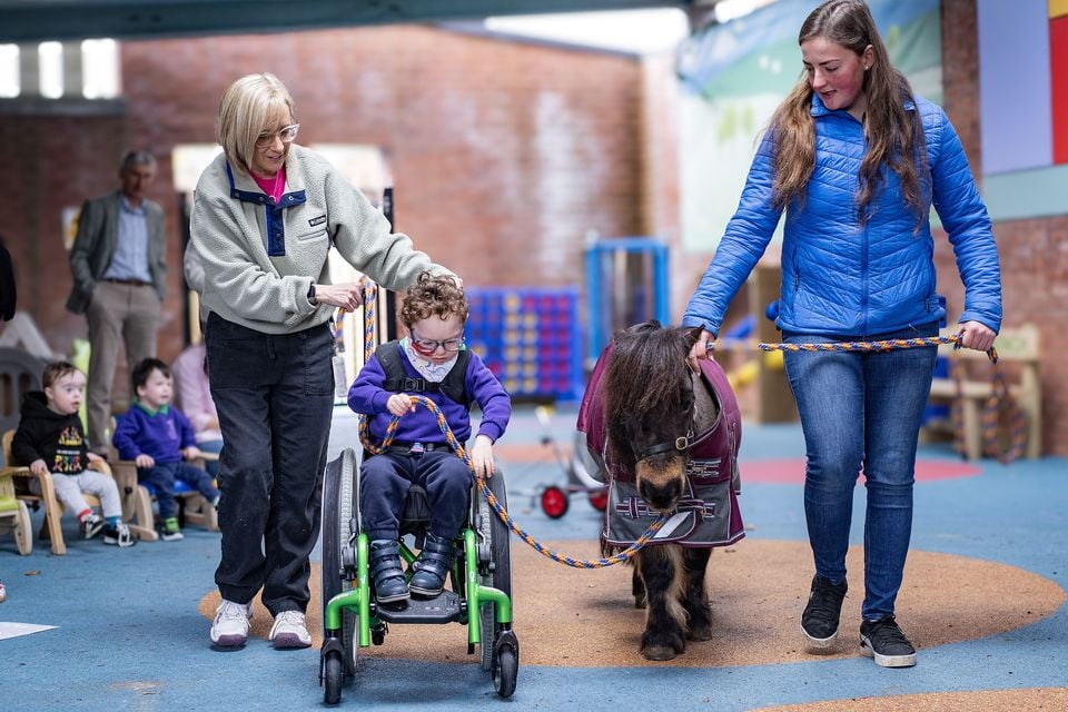 Leo leading Amy for a walk, assisted by Cathy O’Reilly (left) from Mencap and One Equine Trust Practitioner Kathryn Morton (right).