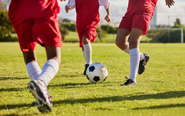 The Mirror has investigated abusive behaviour that is blighting Britain's beautiful game.