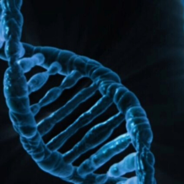 Method to identify genetic variations linked to asthma onset developed by University of Chicago Labmate Online