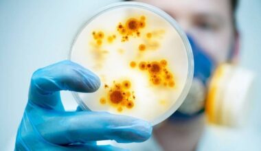 Alert as UK hospital outbreaks linked to 'rapidly emerging' fungal infection | UK | News