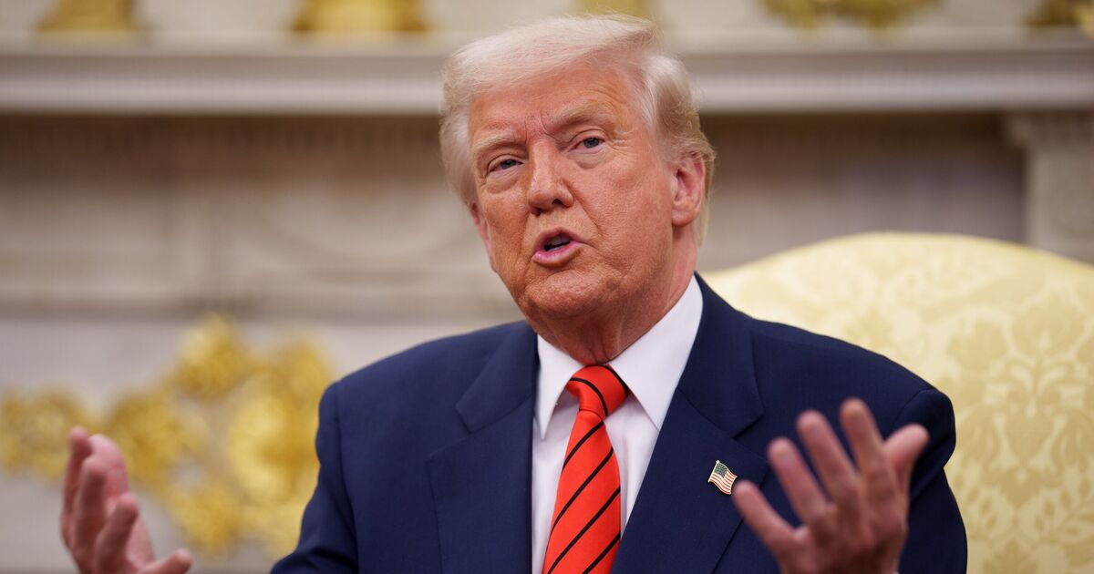 Trump's fiery clash with CNN reporter sparks outrage | TV & Radio | Showbiz & TV