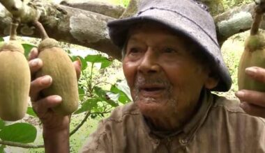 'World's oldest man' aged 125 shares 'superfood' he has every day | World | News