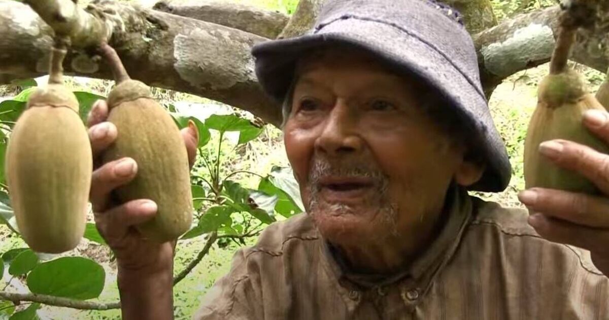 'World's oldest man' aged 125 shares 'superfood' he has every day | World | News
